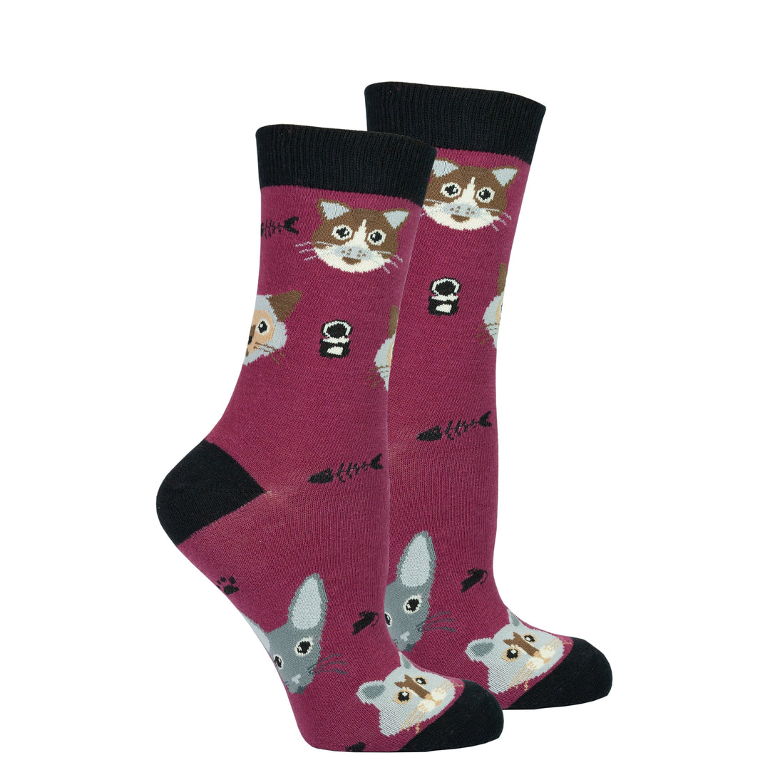 Cute Cats Socks Set (5-Pack)