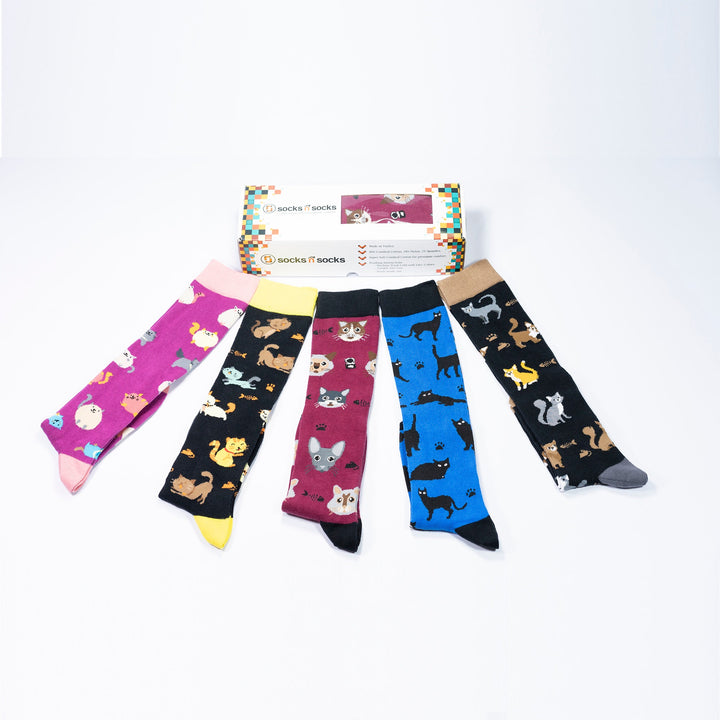 Women's Cute Cats Knee High Socks Set