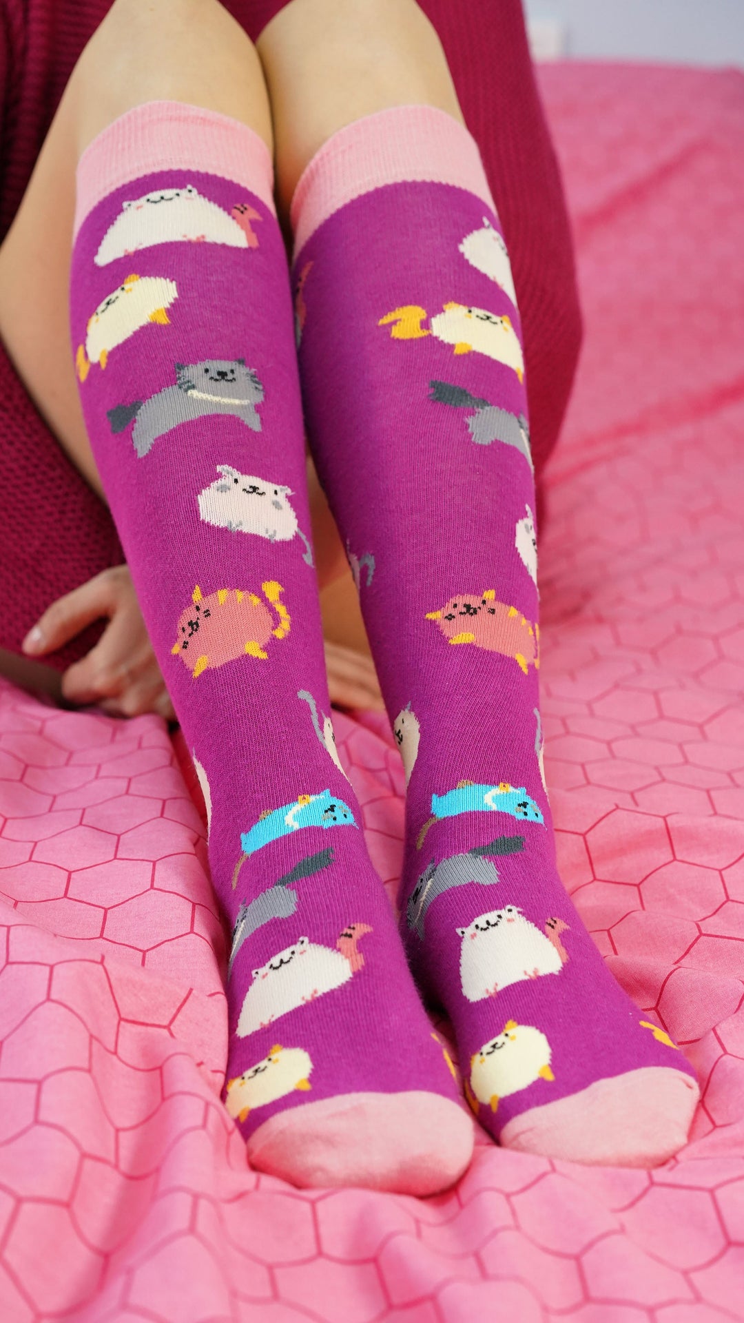 Women's Cute Cats Knee High Socks Set