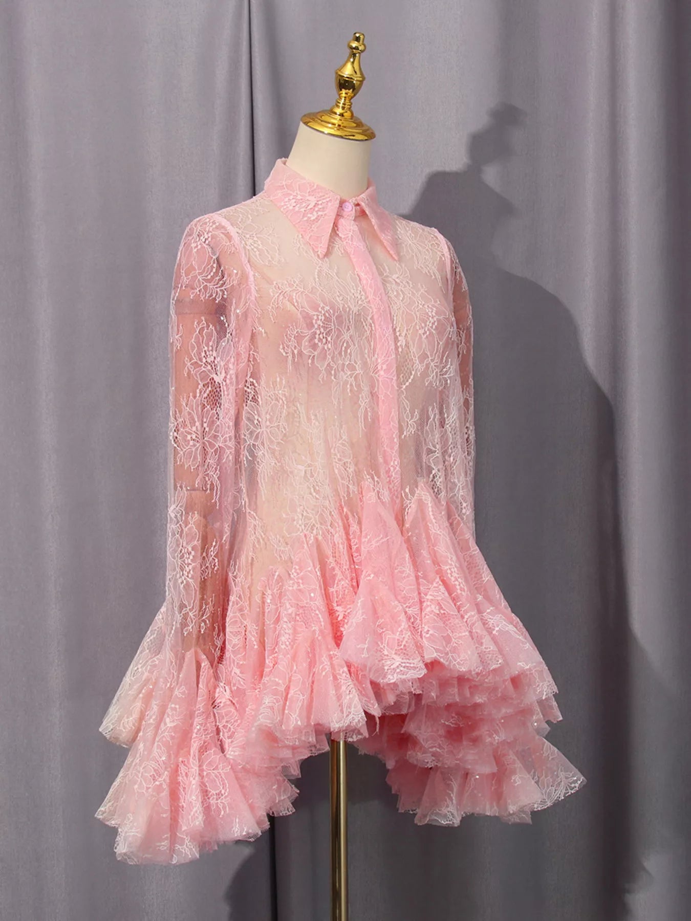 organza hem and sleeve lace dress 2-Piece Lace Embroidered Maxi Dress Set