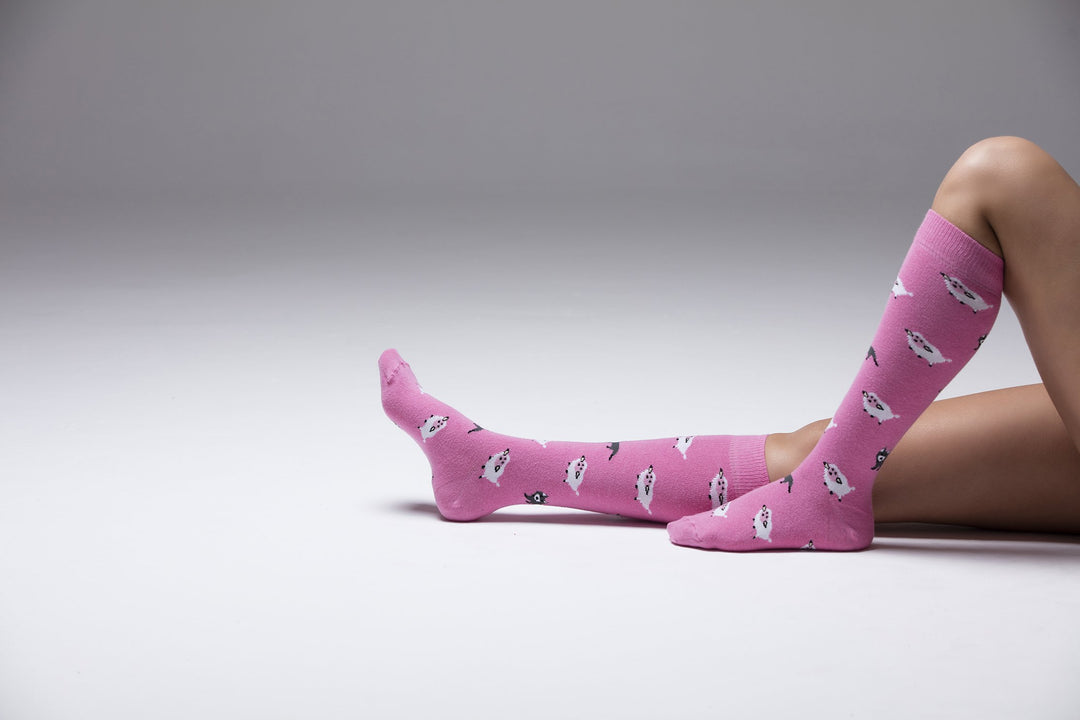 Women's Cute Animals Knee High Socks Set (5 Pack)