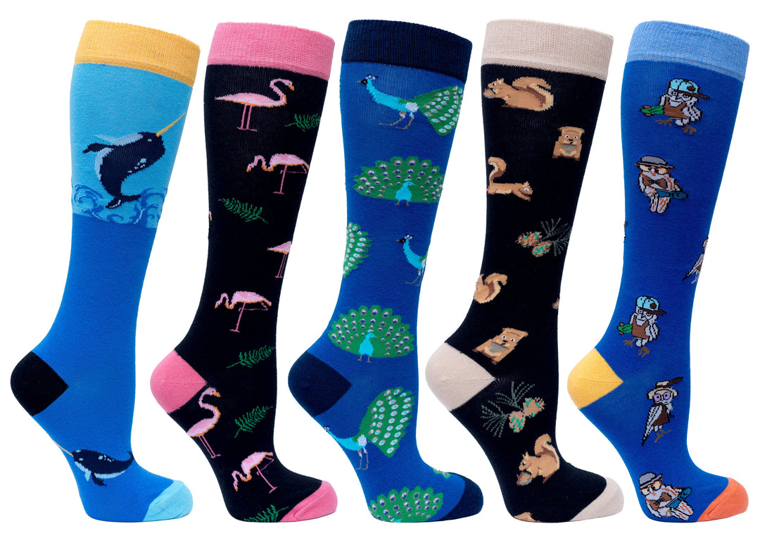 Ensemble de 5 paires de chaussettes hautes Animal Planet pour femmes