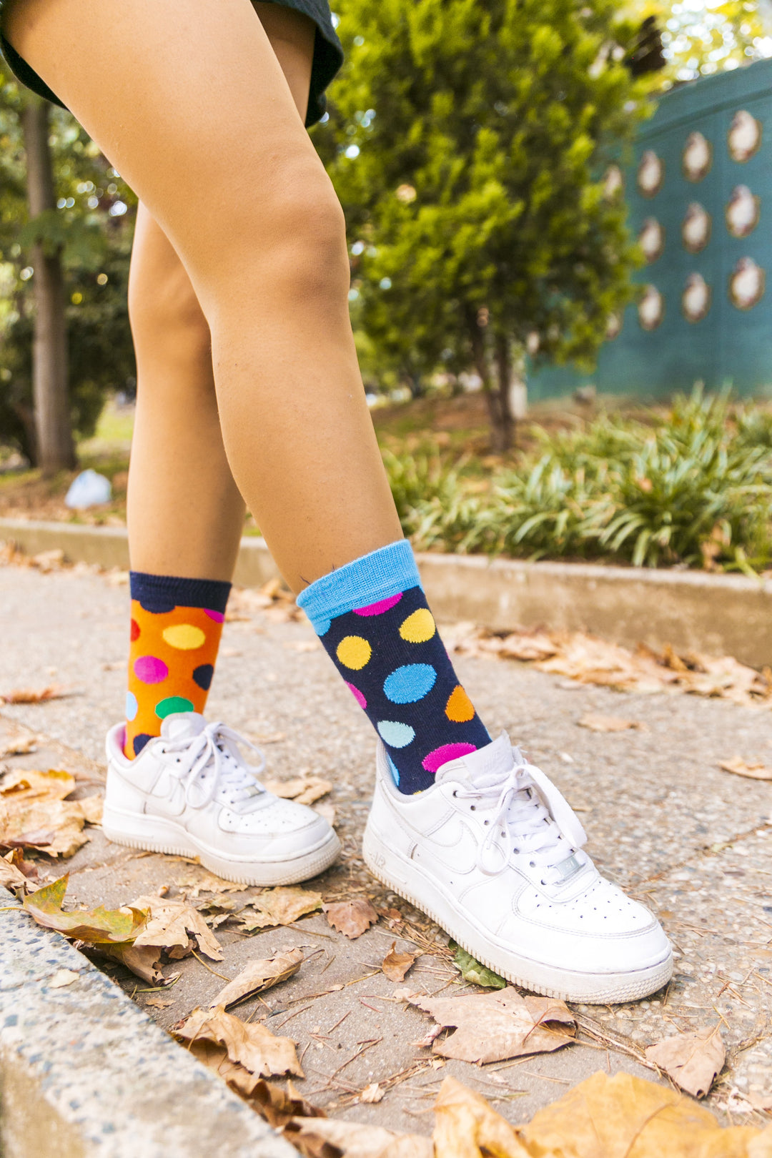 Women's Modern Dots Socks Set (5 Pack)