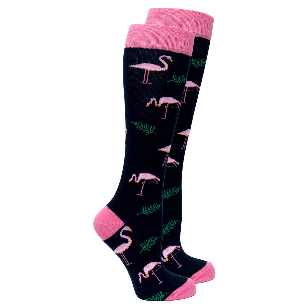 Ensemble de 5 paires de chaussettes hautes Animal Planet pour femmes